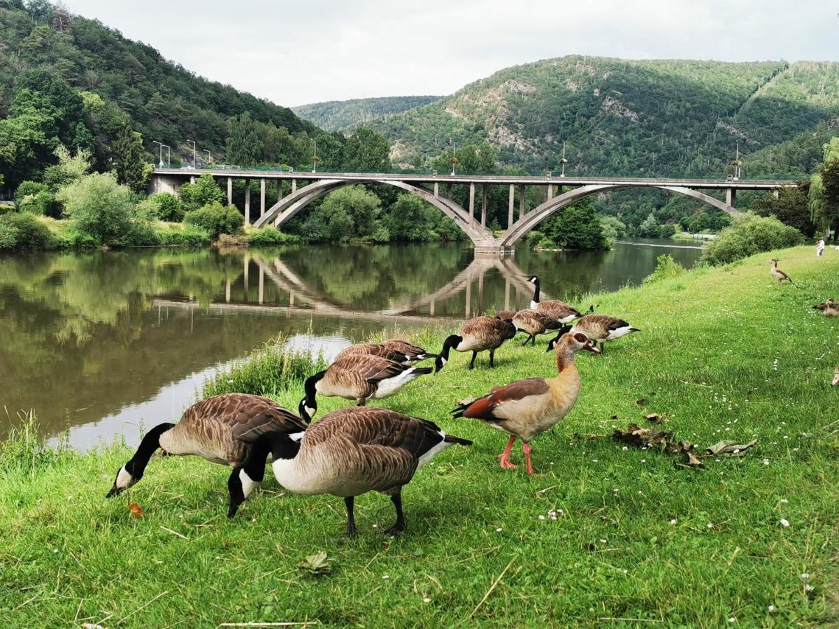 La Bayenne Hébergement de vacances *